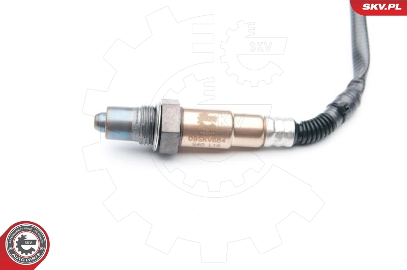 Oxygen Sensor